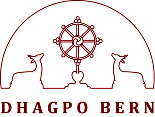 logo_dhagpo_bern_red(2)