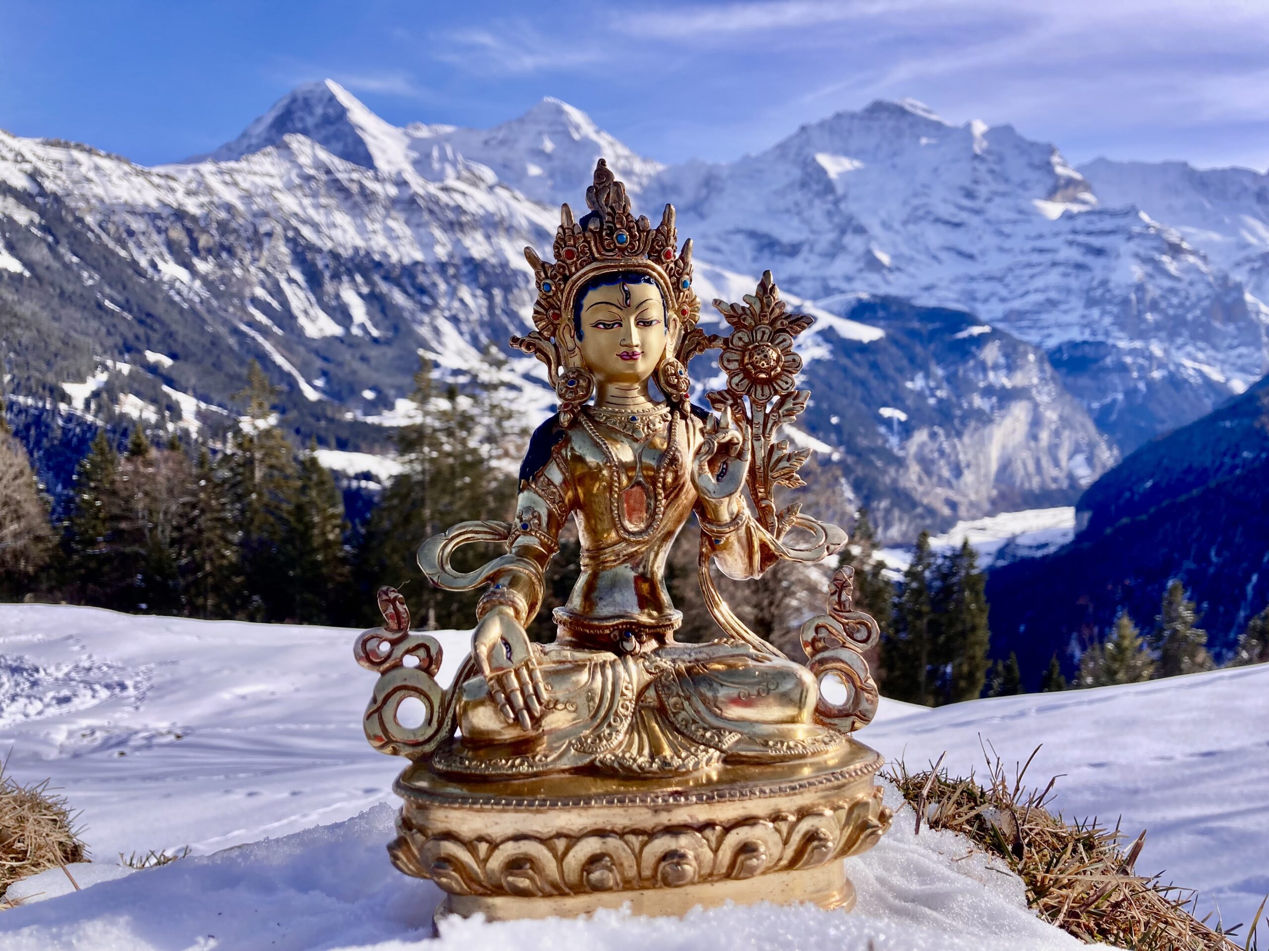 White Tara in winter